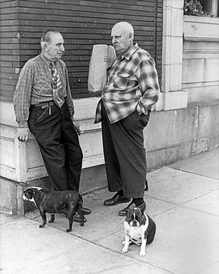 'Do Dogs Mirror Their Owners?' Limited Edition of 15 Photography by