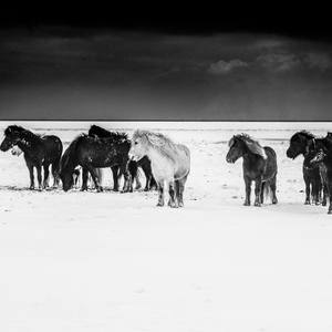 Collection Iceland