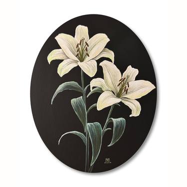 Lilium Candidum (White Lilies) thumb