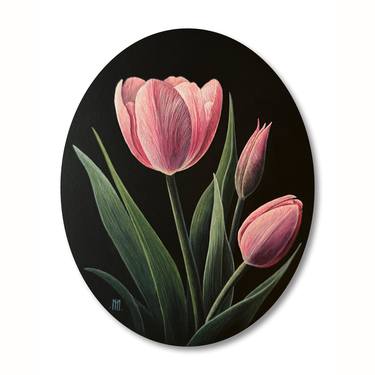 Tulipa Rosacea (Pink Tulips) thumb