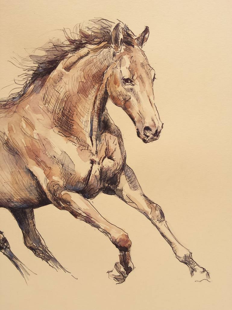 Original Horse Drawing by Georgi Todorov
