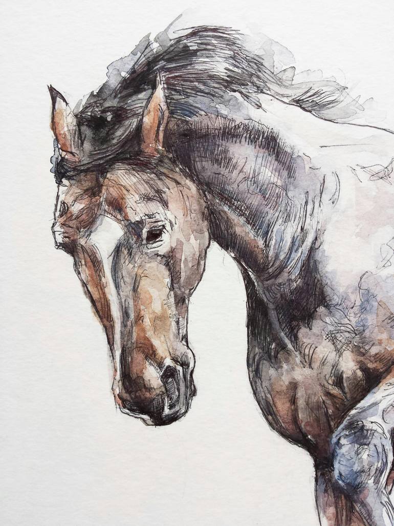 Original Expressionism Horse Drawing by Georgi Todorov