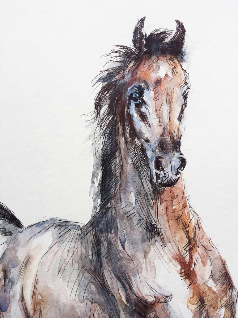 Original Expressionism Horse Drawing by Georgi Todorov