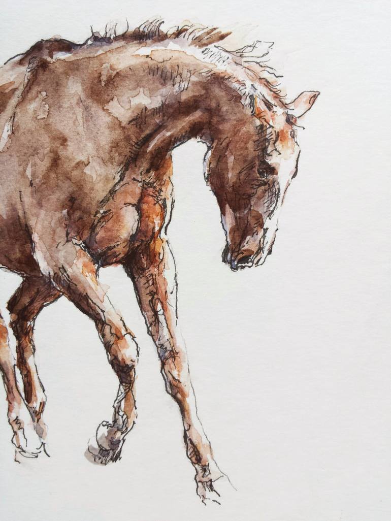 Original Expressionism Horse Drawing by Georgi Todorov