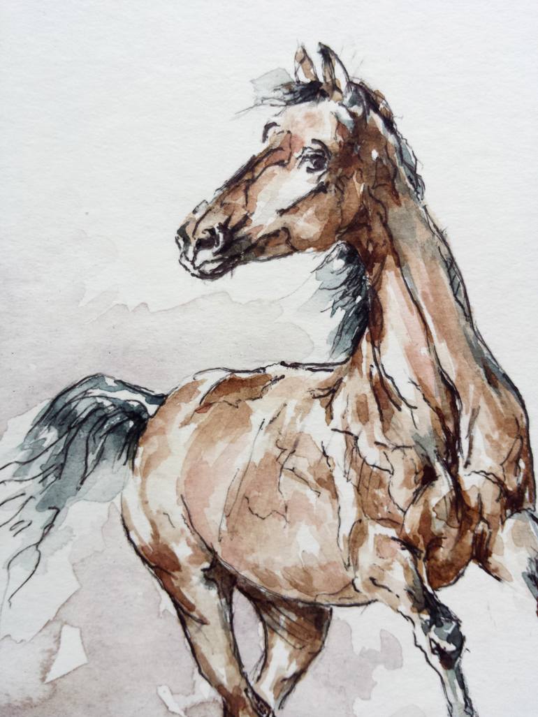Original Expressionism Horse Drawing by Georgi Todorov