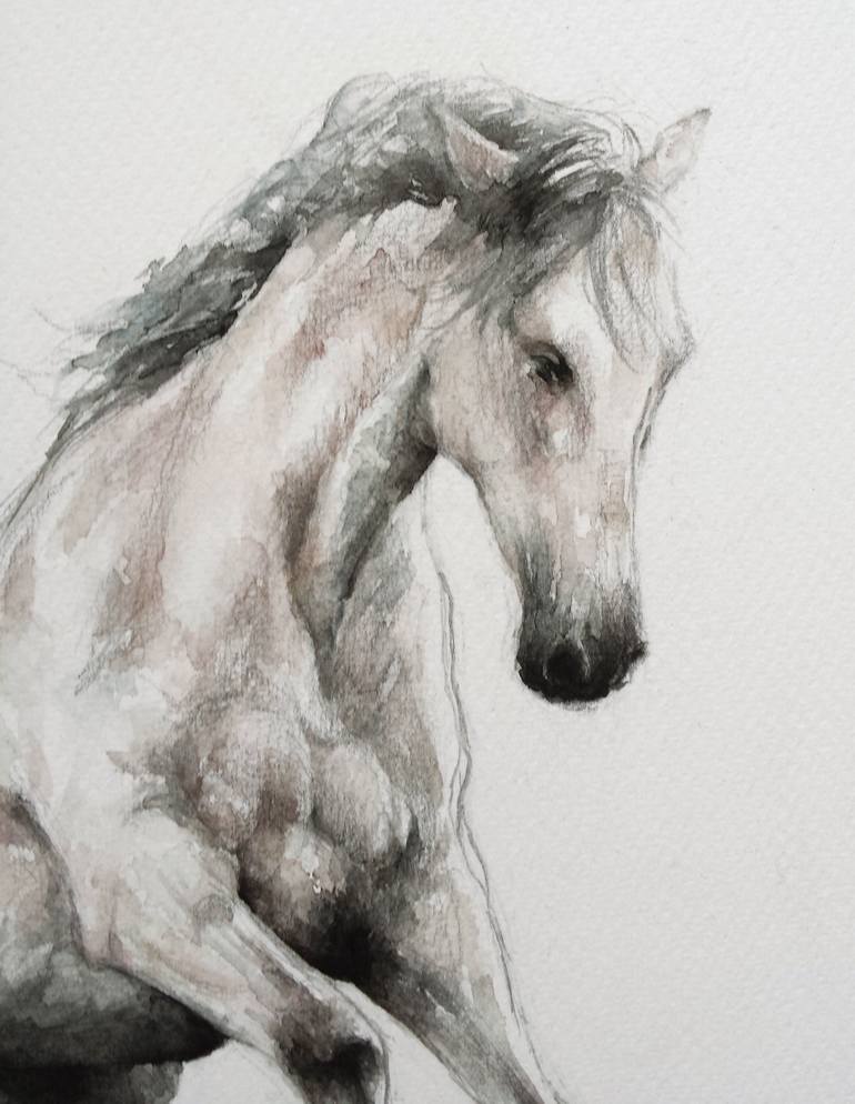 Original Expressionism Horse Drawing by Georgi Todorov