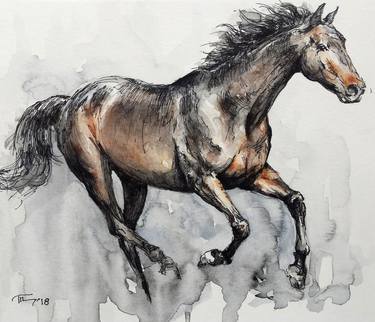 Original Horse Drawings by Georgi Todorov