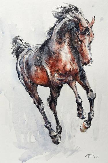 Original Horse Drawings by Georgi Todorov