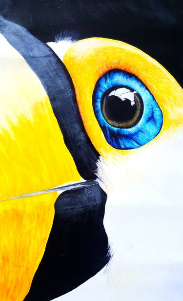 Toco Toucan Drawing