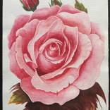 Rose by Agustin Torres