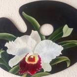 White Orchid by Agustin Torres
