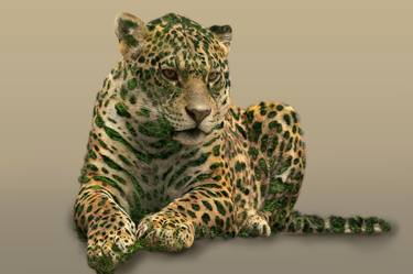 Leopard - Limited Edition of 5 thumb