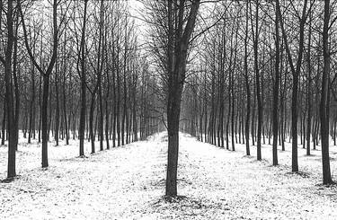 Original Black & White Landscape Photography by Pier Maulini