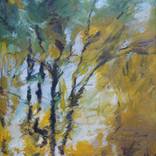 Reflections of the river trees by Josep Antoni Fonoll