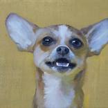 Friend by Josep Antoni Fonoll