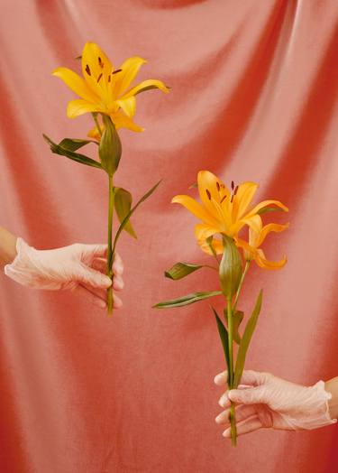 Lillies with Hands thumb