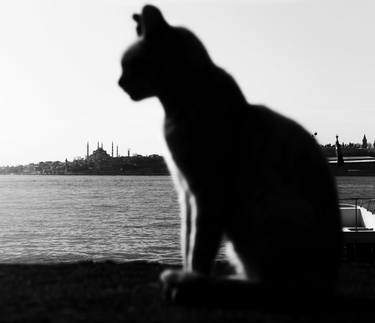cat of Istanbul - Limited Edition of 10 thumb