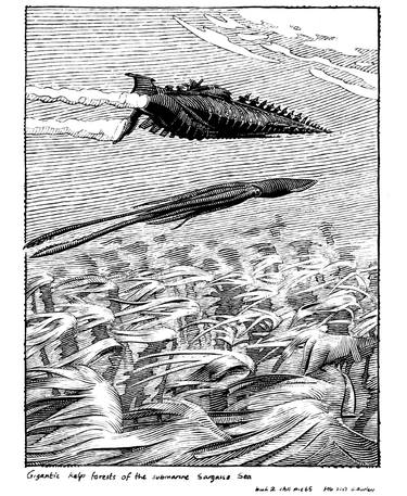 Original Realism Fantasy Drawings by Gary M Burley