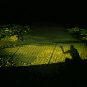 Seeking refuge - Limited Edition of 25