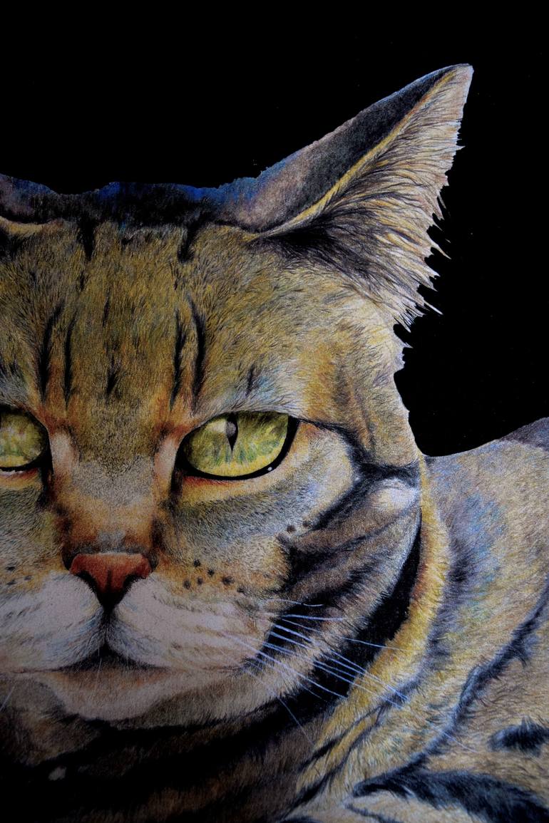 Original Portraiture Cats Drawing by Marco Lombardo
