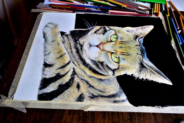 Original Portraiture Cats Drawing by Marco Lombardo