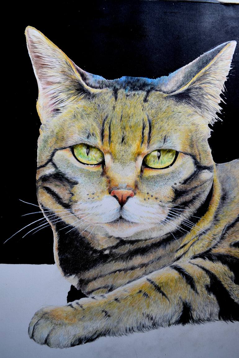 Original Portraiture Cats Drawing by Marco Lombardo