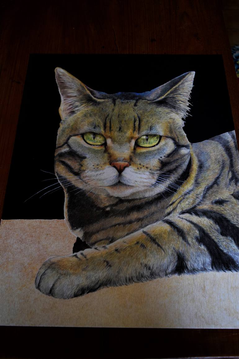 Original Portraiture Cats Drawing by Marco Lombardo