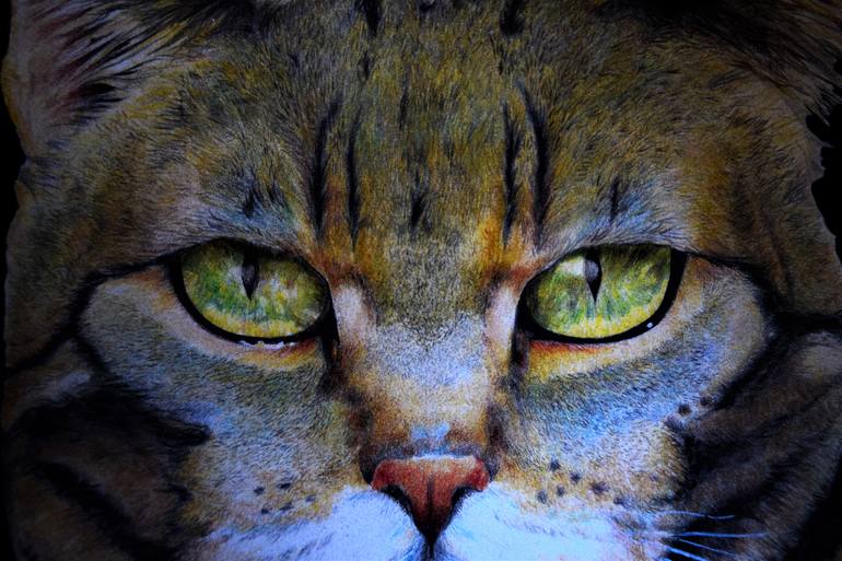 Original Portraiture Cats Drawing by Marco Lombardo