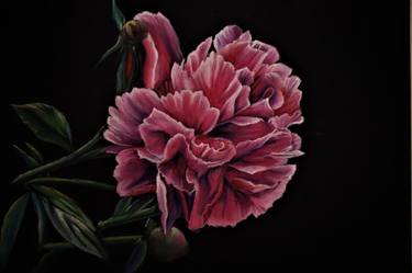 Print of Figurative Floral Drawings by Marco Lombardo