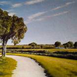 Wide Open by Colin Madgwick