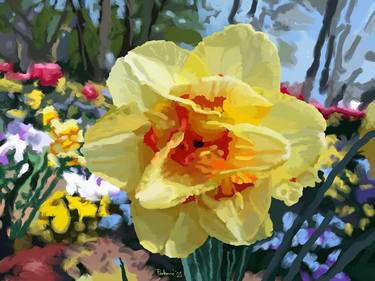 Daffodil - Limited Edition of 100 thumb