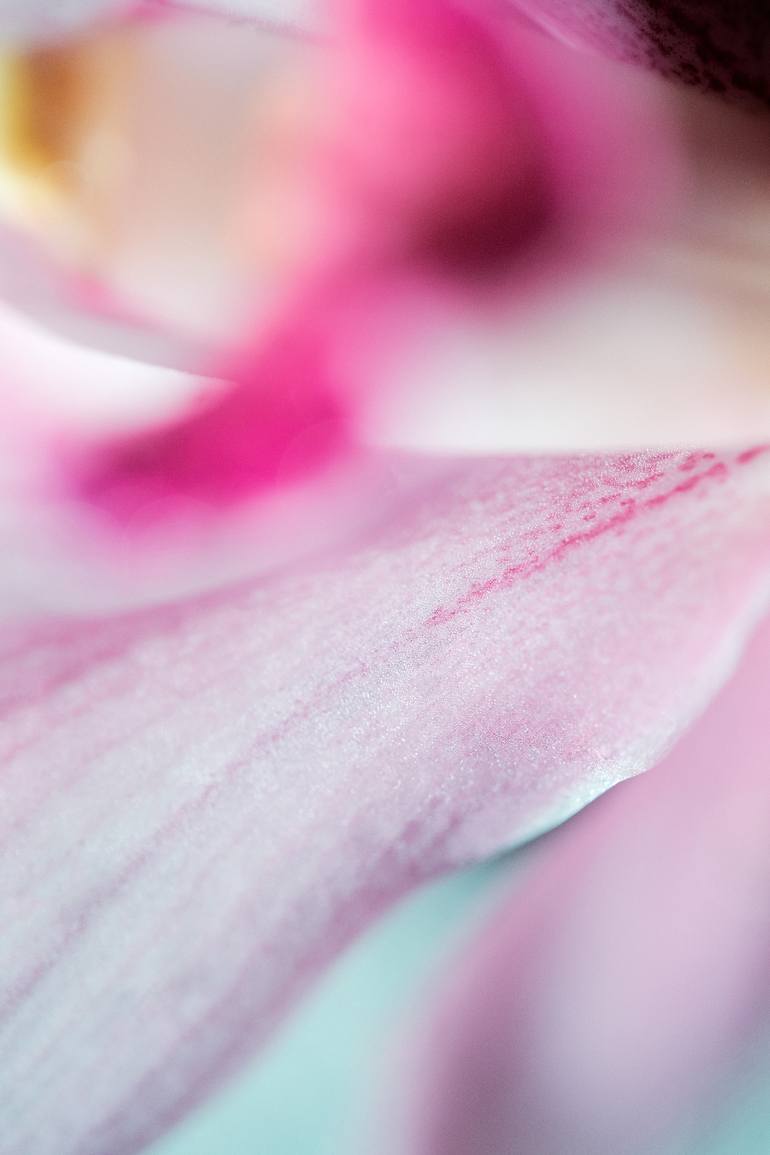 Original Fine Art Abstract Photography by Jb Lacroix