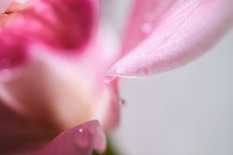 Original Fine Art Abstract Photography by Jb Lacroix