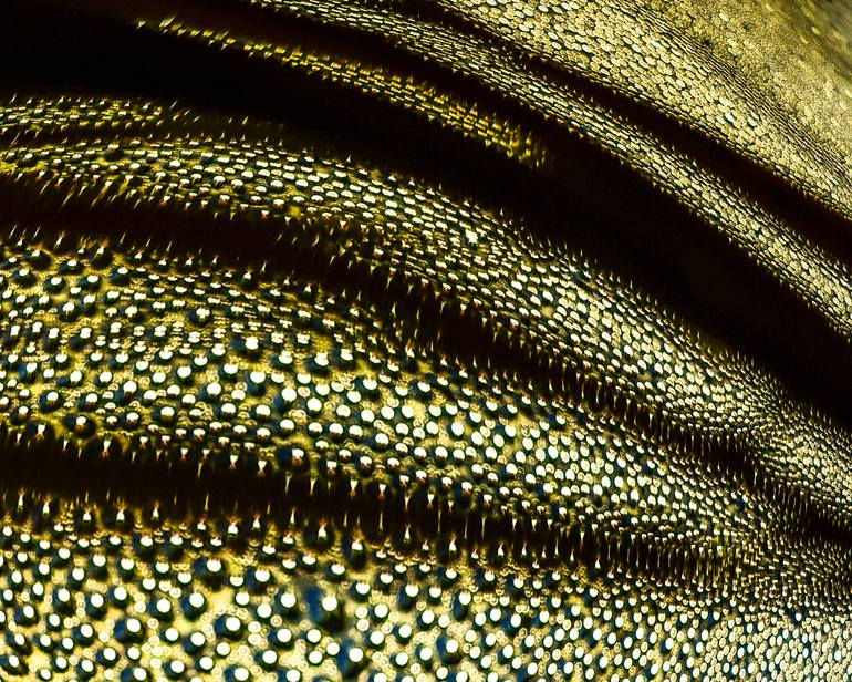 Droplets Limited Edition signed and numbered 8x10