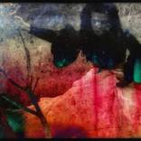 wonderful dream - Limited Edition of 10 by Yulia Shibirkina