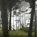 Presidio in Fog by Phillip Ludwig