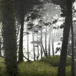 Presidio in Fog