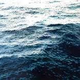 Ocean I, Sydney Harbor by Phillip Ludwig