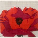 Red Poppy by Robin McCarthy