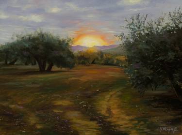 Sunset among olive trees in Andalusia thumb