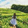 This gouache painting is of a woman strolling in the fields carefree and with a spring in her step. Painting is done on paper, 5.5" x 8.5".