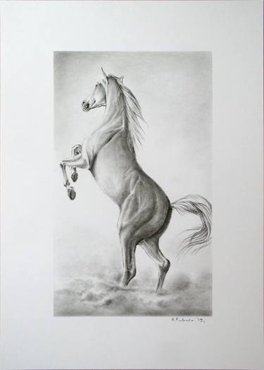 Print of Horse Drawings by Hrvoje Puhalo