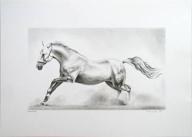 Print of Realism Horse Drawings by Hrvoje Puhalo