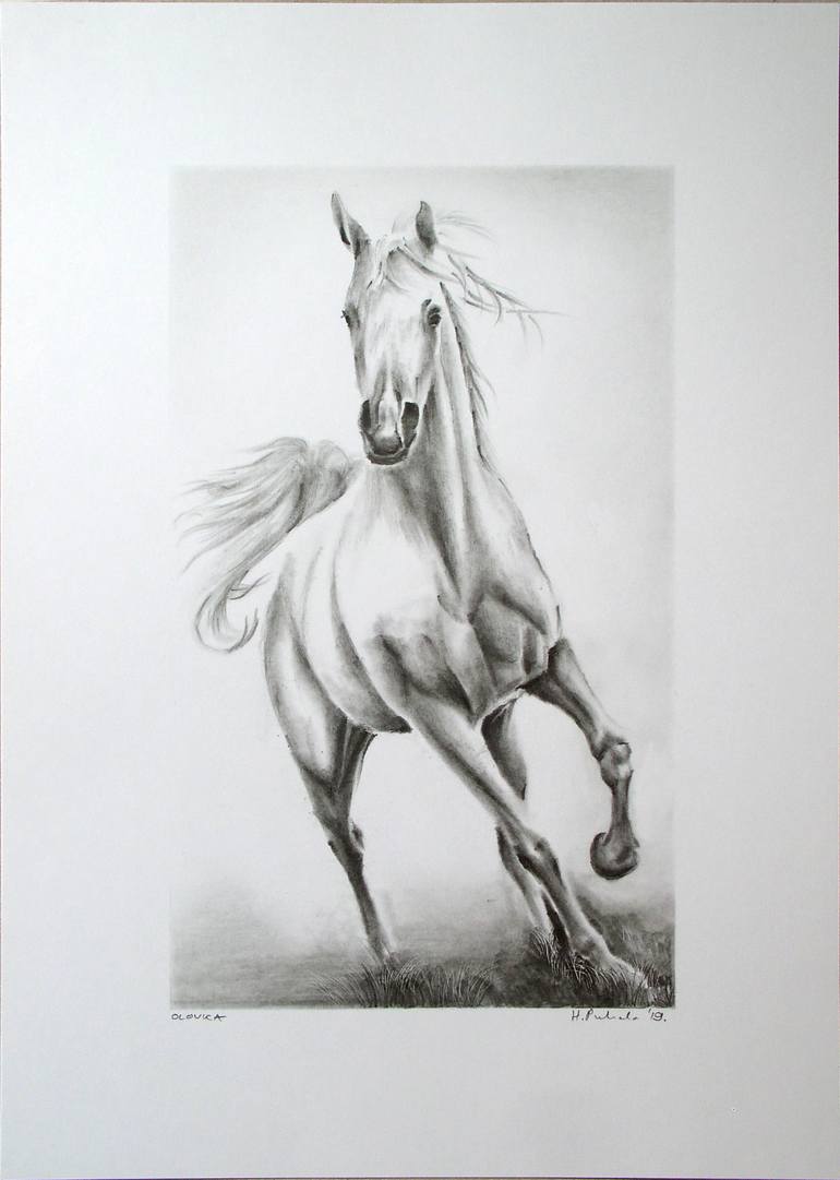 The Horse 7 Drawing by Hrvoje Puhalo | Saatchi Art