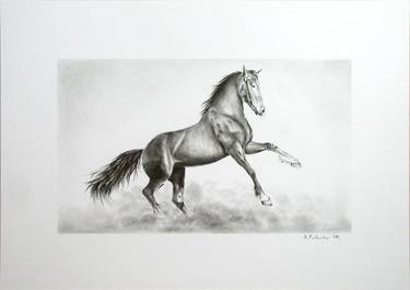 Original Horse Drawing by Hrvoje Puhalo