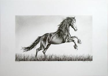 Print of Realism Horse Drawings by Hrvoje Puhalo