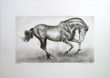 Original Realism Horse Drawings by Hrvoje Puhalo