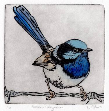 Splendid Fairy Wren Diamond Art Painting Kit - Family Fun Hobbies