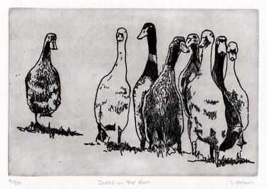 Original Illustration Animal Printmaking by Lydie Paton