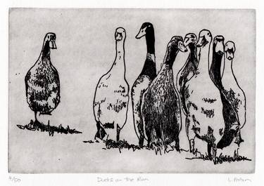 Original Animal Printmaking by Lydie Paton